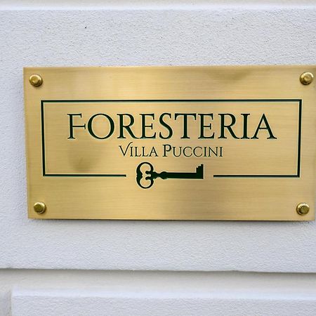 Foresteria Villa Puccini Casa Per Ferie Torre del Lago Puccini Exterior foto